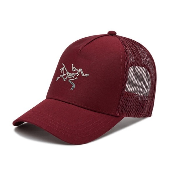 Arc'teryx VINTAGE Dark Wonderland Polychrome Logo Trucker Cap NWOT - Picture 1 of 8